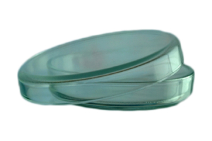 Стоматорг - Чашка Петри биологические, 90*185мм,толщ.ст.1,3 мм, стекло