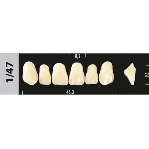 Стоматорг - Зубы Major B2  1/47 фронтальный верх, 6 шт (Super Lux).