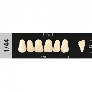 Стоматорг - Зубы Major B4  1/44 фронтальный верх, 6 шт (Super Lux).