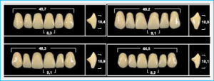 Стоматорг - Зубы Yeti B3 SLA жевательный верх (Tribos) 8 шт.