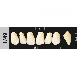 Стоматорг - Зубы Major C1  1/49 фронтальный верх, 6 шт (Super Lux)