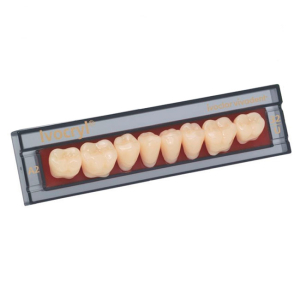 Стоматорг - Зубы Ivocryl Набор из 8 зубов A-D жеват.низ. 30 B3.           