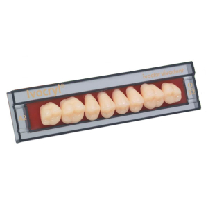 Стоматорг - Зубы Ivocryl Набор из 8 зубов A-D жеват.верх. 31 D3.           